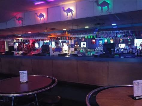 virginia beach gay bars|The Rainbow Cactus Company.